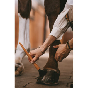 Produkte für die Pferdepflege