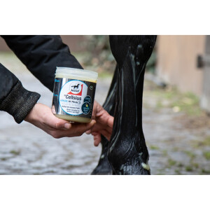 Leovet CELLSIUS Gel für Pferde 600 ml