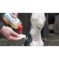 Leovet Erste Hilfe Med Waschlotion 250 ml