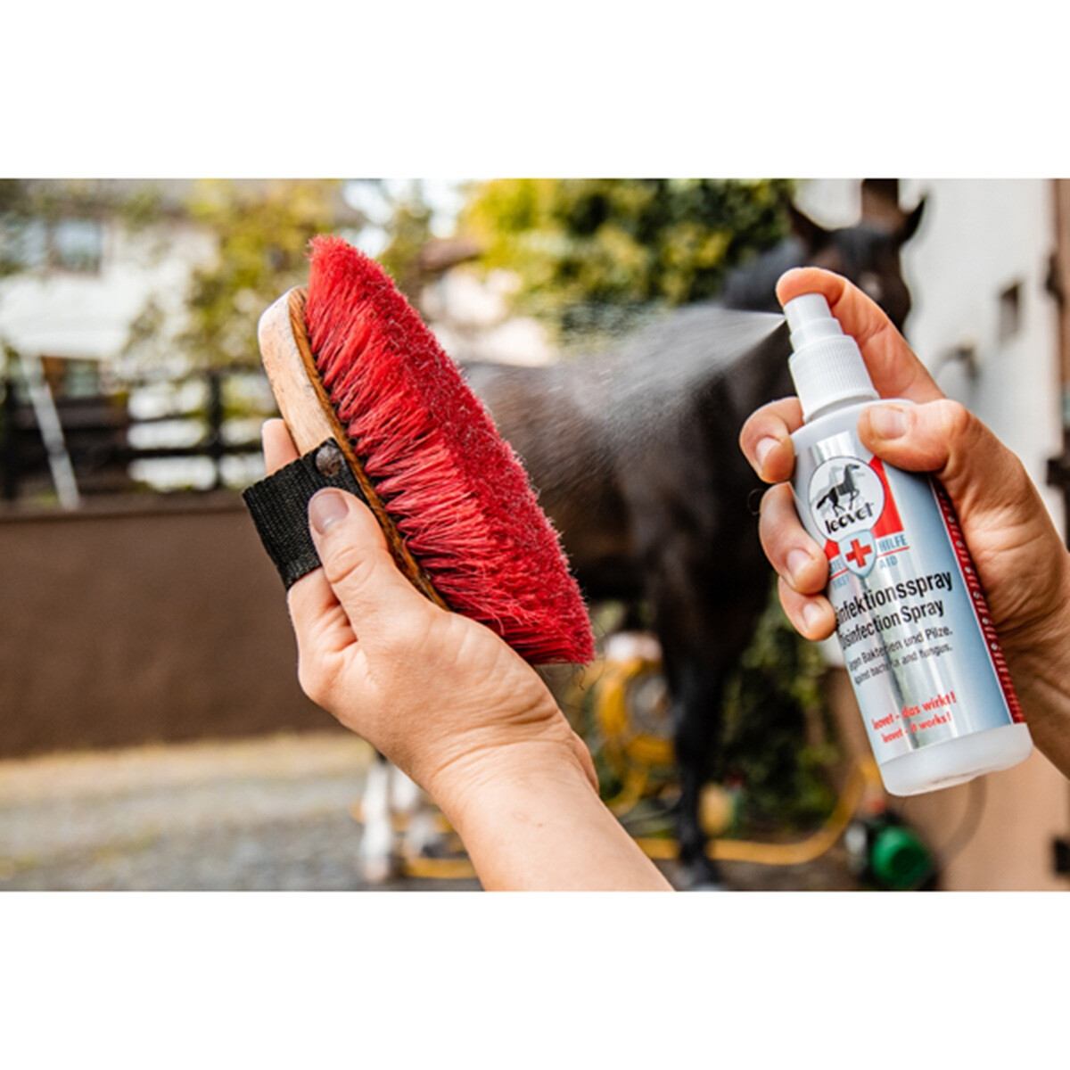 Leovet Erste Hilfe Desinfektionspray 200 ml