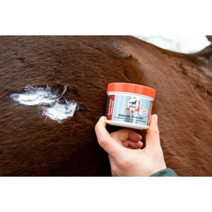 Leovet Erste Hilfe Silbersalbe 150 ml