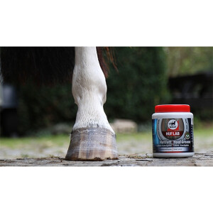 Leovet Huflab Huf Fett Lorbeer - Eukalyptus 750 ml