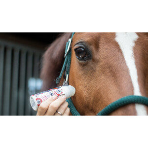 Leovet Power Phaser Roll on 75 ml