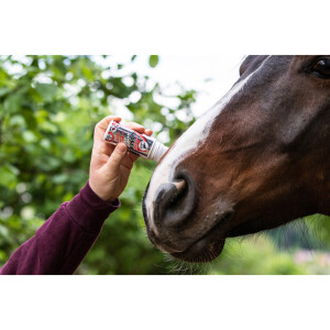 Leovet Power Phaser Roll on 75 ml