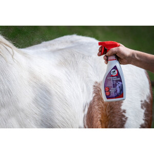 Leovet Schimmel Striegel Booster Flasche 550 ml
