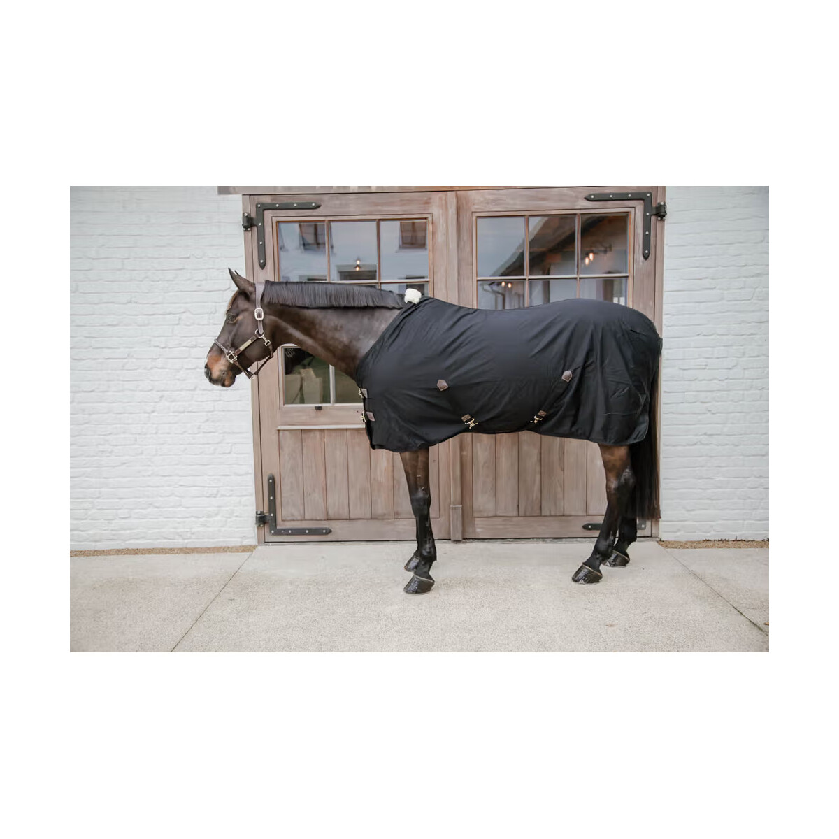 Kentucky Stalldecke Cotton sheet Schwarz 155 cm