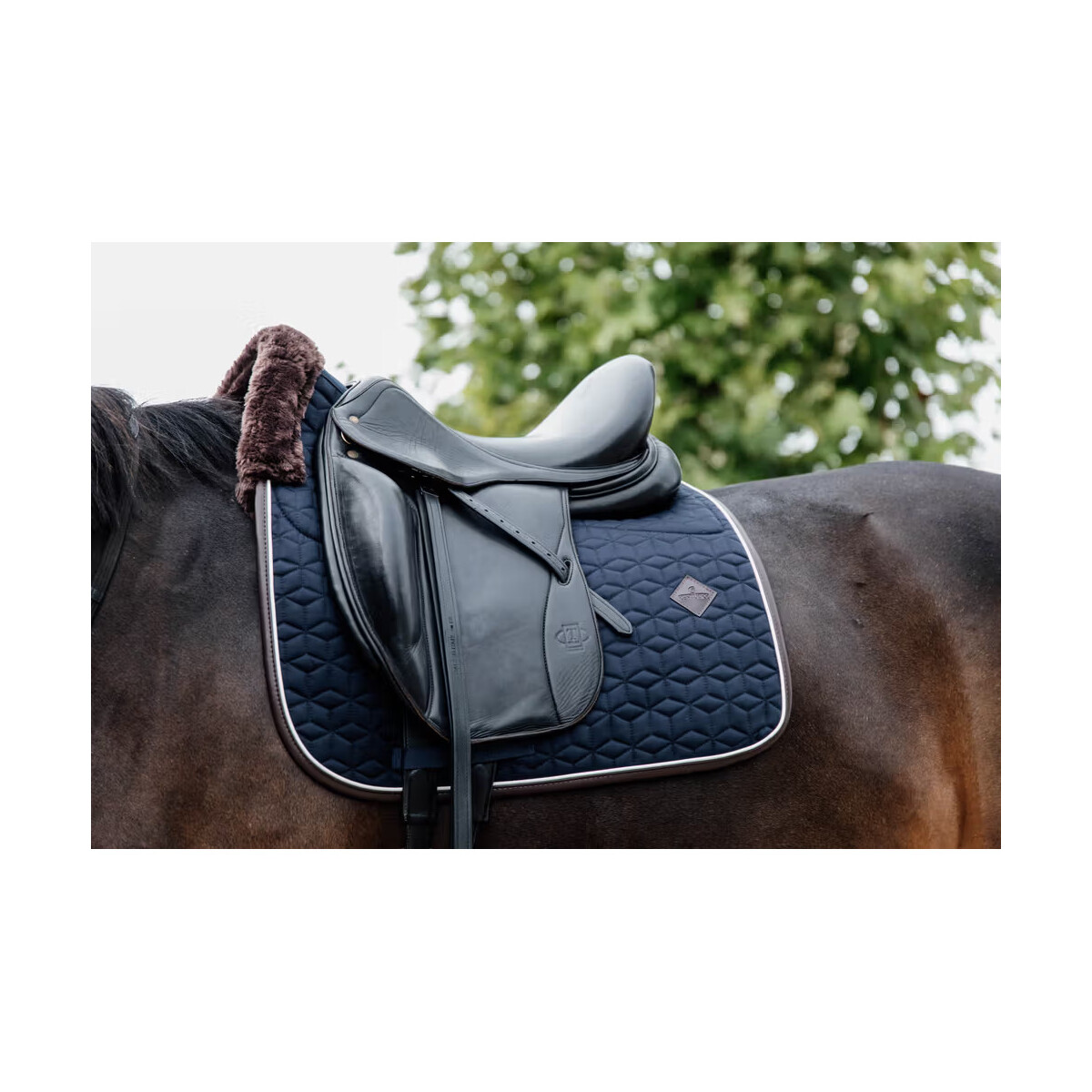 Kentucky Schabracke Skin Friendly Sternsteppung Dressur Navy