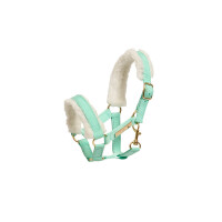 Halfter Plush Steckenpferd Cheval Roi frostini mint gold