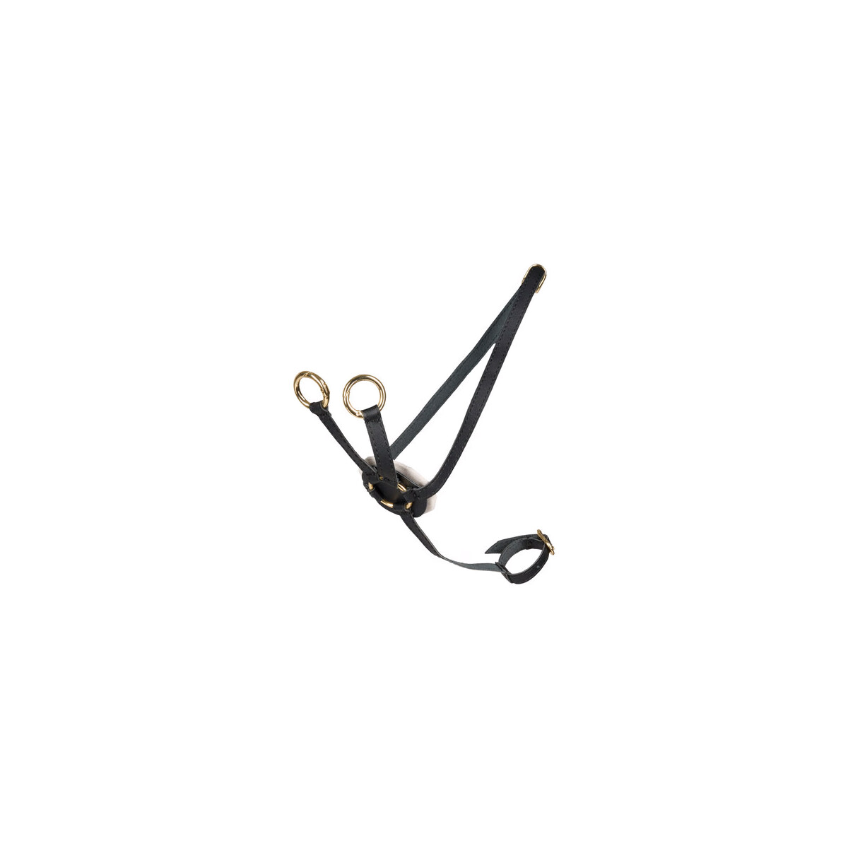 Martingal Steckenpferd Cheval Roi schwarz gold