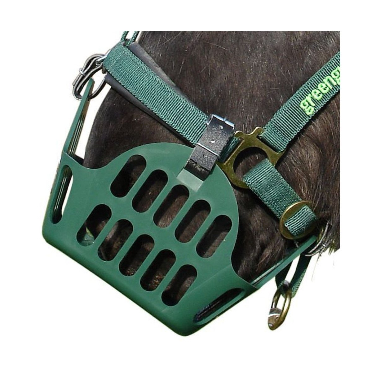 Greenguard Ersatzgurt für Maulkorb