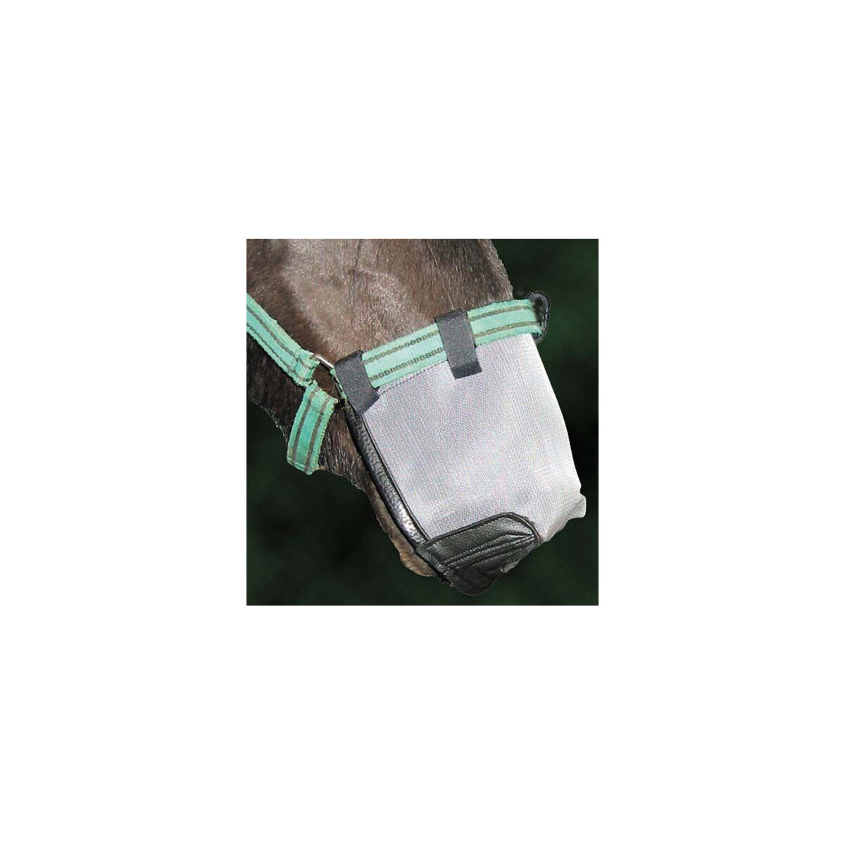 InnoHorse Nüsternschutz NOSE SHADE für Weide