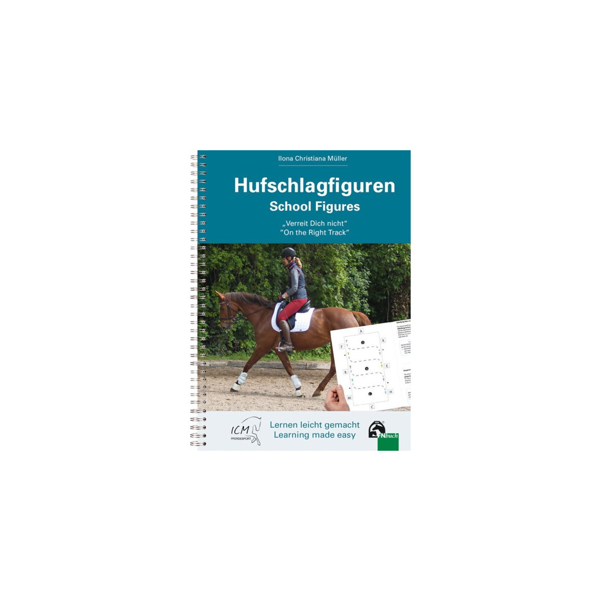 Hufschlagfiguren - School Figures