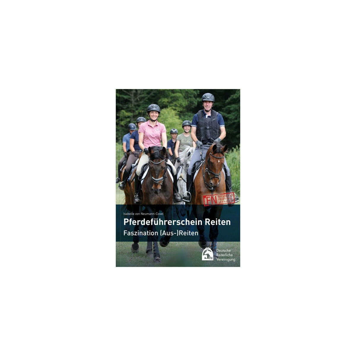 Pferdeführerschein Reiten Faszination (Aus-) Reiten
