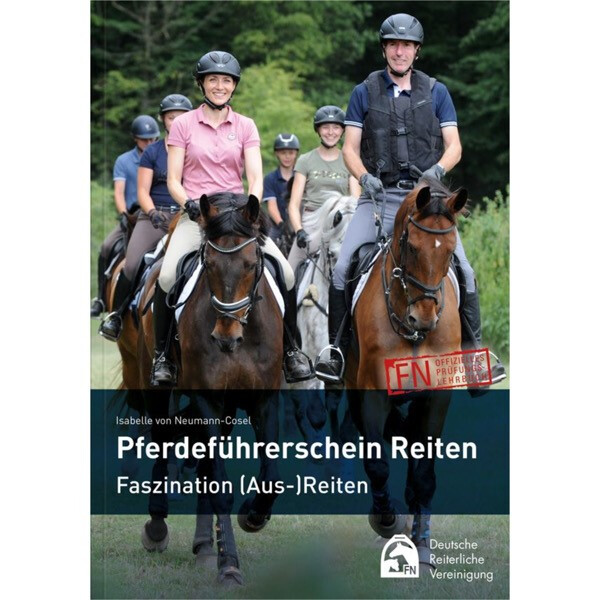 Pferdeführerschein Reiten Faszination (Aus-) Reiten