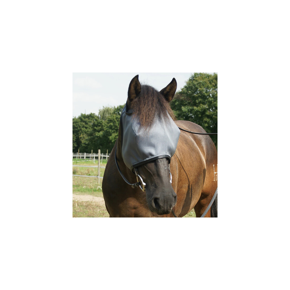 InnoHorse Lichtschutzmaske SUN BLOCK 77% ohne Ohren