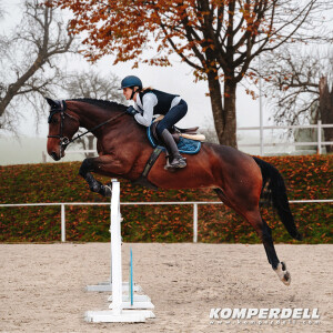 Komperdell Rückenprotektor Ballistic Flex Fit Slim black-silver XXS