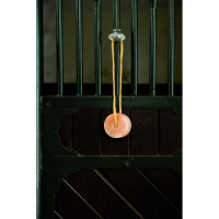 Waldhausen Spezialhalter für Heunetze