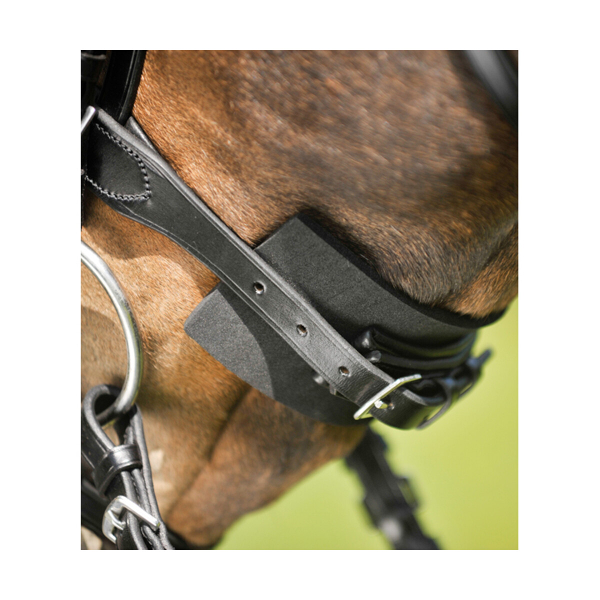 Waldhausen Trensen Unterlegpolster schwarz