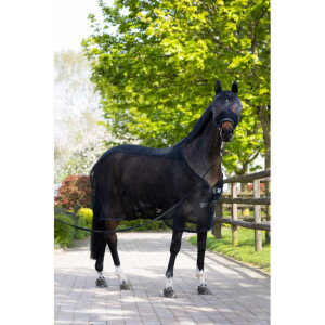 Eskadron Halfter Fly Protect black