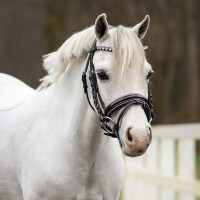 QHP Trense Bixie Pink Mini shetty