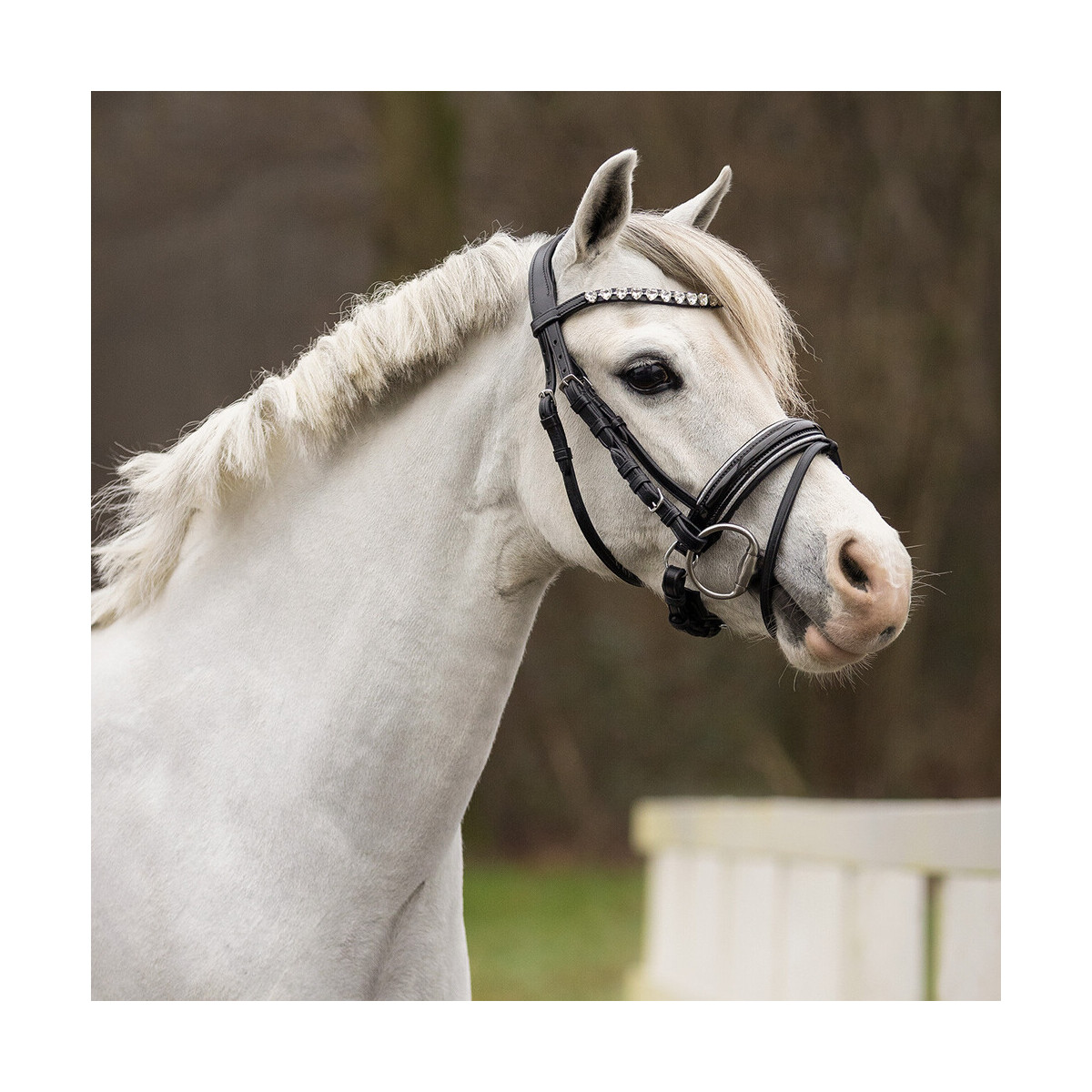 QHP Trense Bixie Silver Shetty
