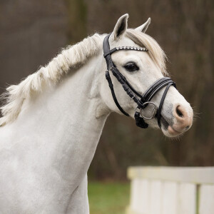 QHP Trense Bixie Silver Shetty