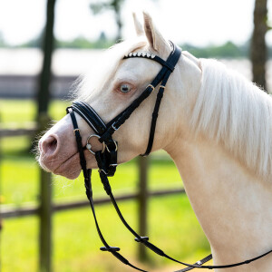 QHP Trense Bixie Silver Shetty