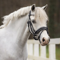 QHP Trense Bixie Silver Shetty