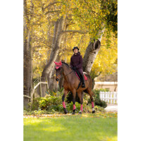Le Mieux Brooke Wasserdichte Hybridjacke Damson