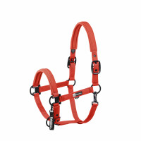 Eskadron Halfter Sparkel Doubel Pin Dynamic 25 A/w Poppy Red  Pony 2