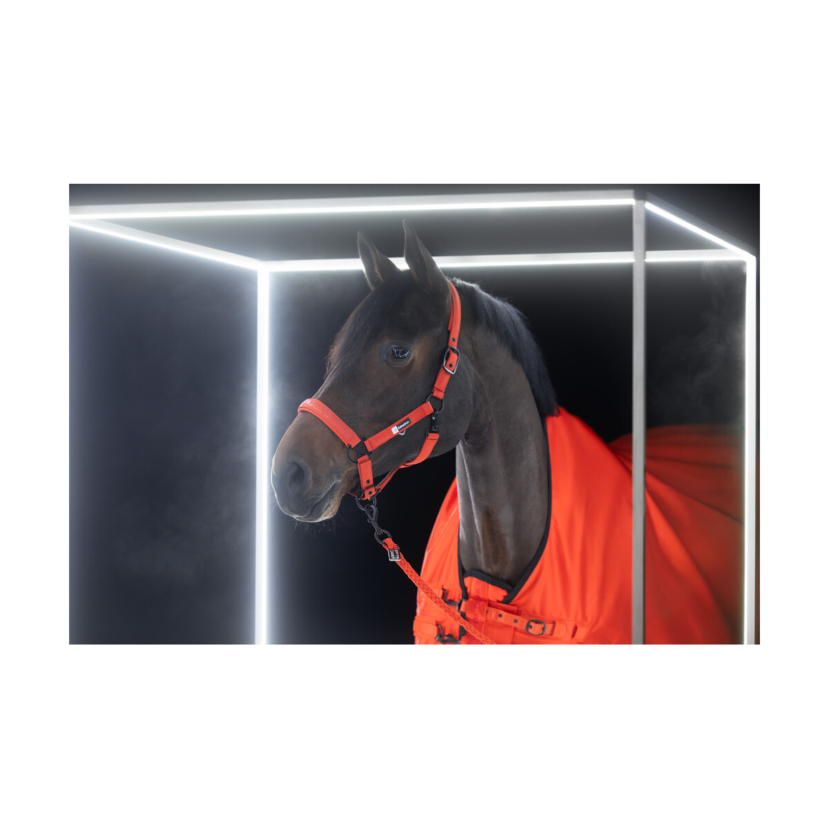 Eskadron Halfter Dynamic 25 A/w rot 18/V