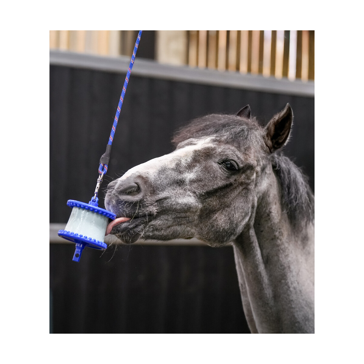 Likit Halterung Leckstein