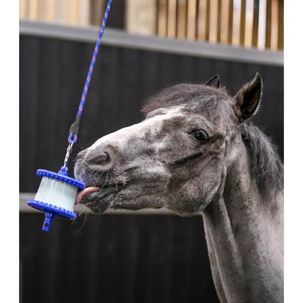 Likit Halterung Leckstein