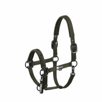 Eskadron Halfter Doubel Pin Dynamic 25 A/w deep green Vollblut