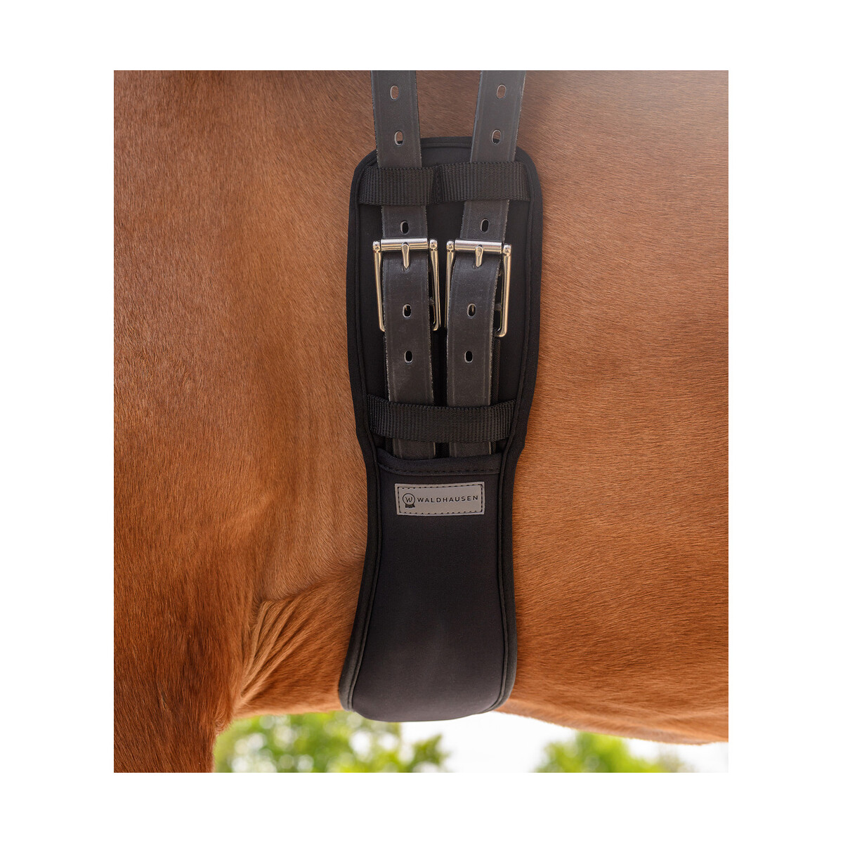 Waldhausen Kurzgurt mit Gel schwarz