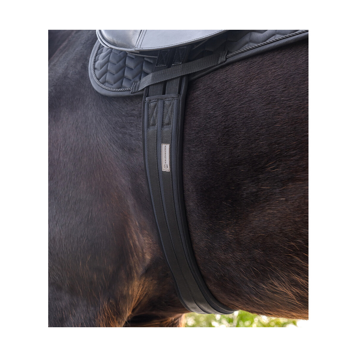 Waldhausen Sattelgurt mit Gel schwarz