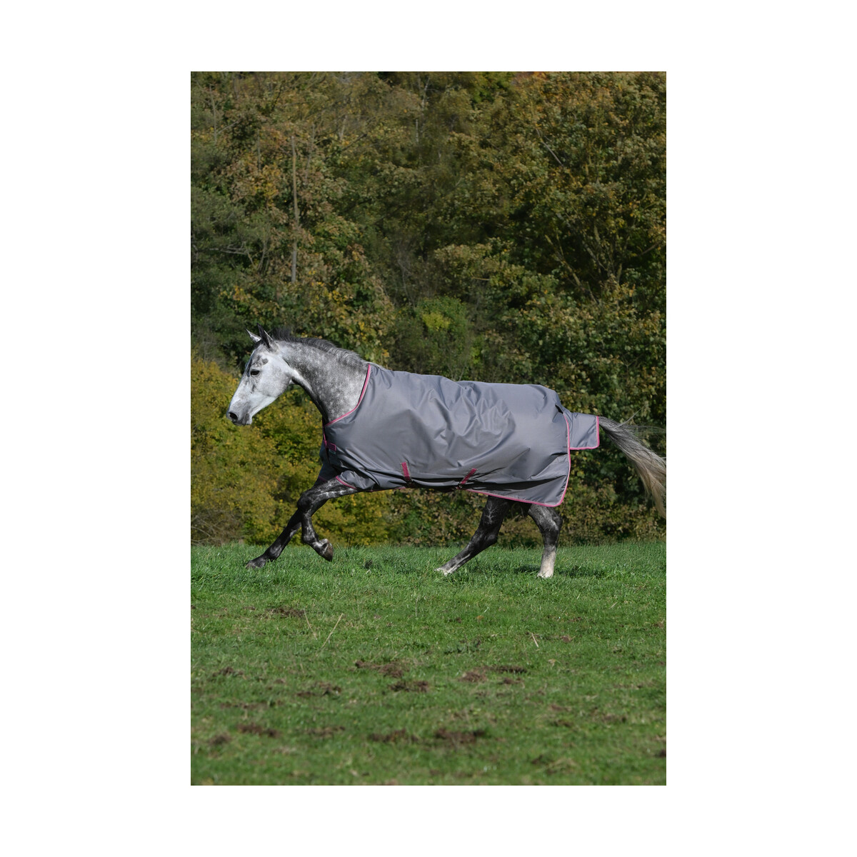 Bucas Outdoordecke Freedom Turnout 150 g smoke grey 135 cm
