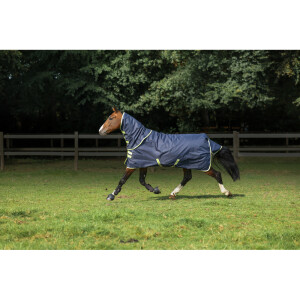 Bucas Outdoordecke Oasis Turnout 100 g + Halsteil grey/lime