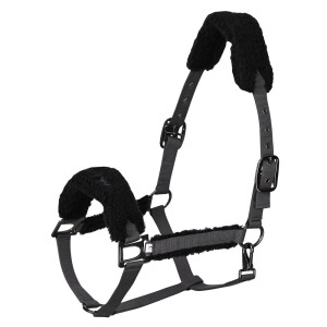 HV Polo Halfter HVP-Teddy