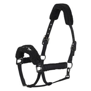 HV Polo Halfter HVP-Teddy