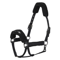 HV Polo Halfter HVP-Teddy