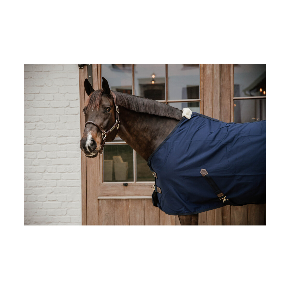 Kentucky Stalldecke Cotton sheet Navy