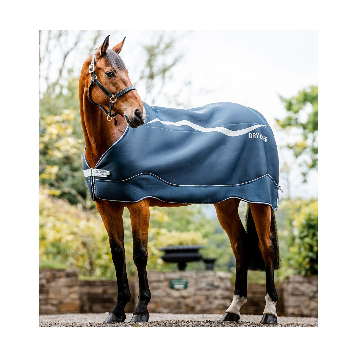 Horseware Stalldecke Dry Liner 50 g navy/silver