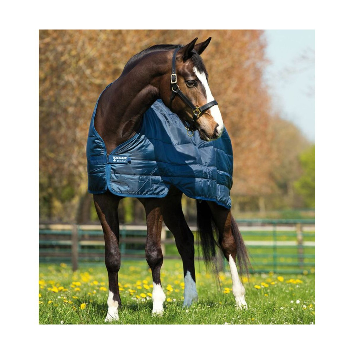 Horseware Unterdecke Liner 100 g navy/navy