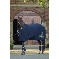 Eskadron Abschwitzdecke AERIAL JERSEY navy