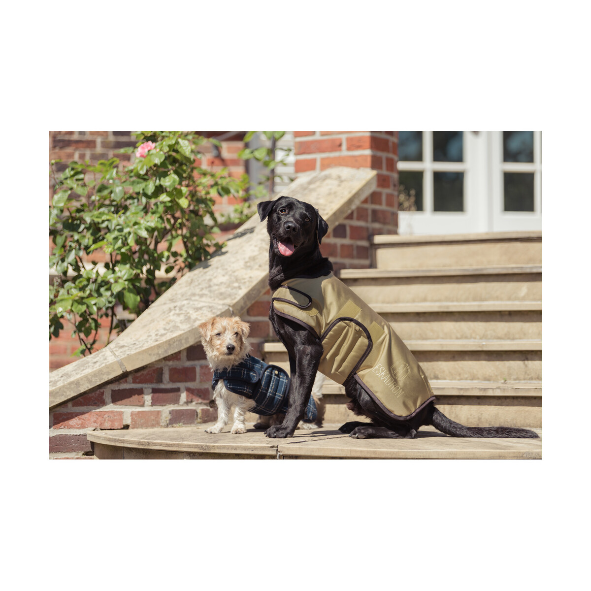 Eskadron Heritage Hundemantel 1680D cardamom