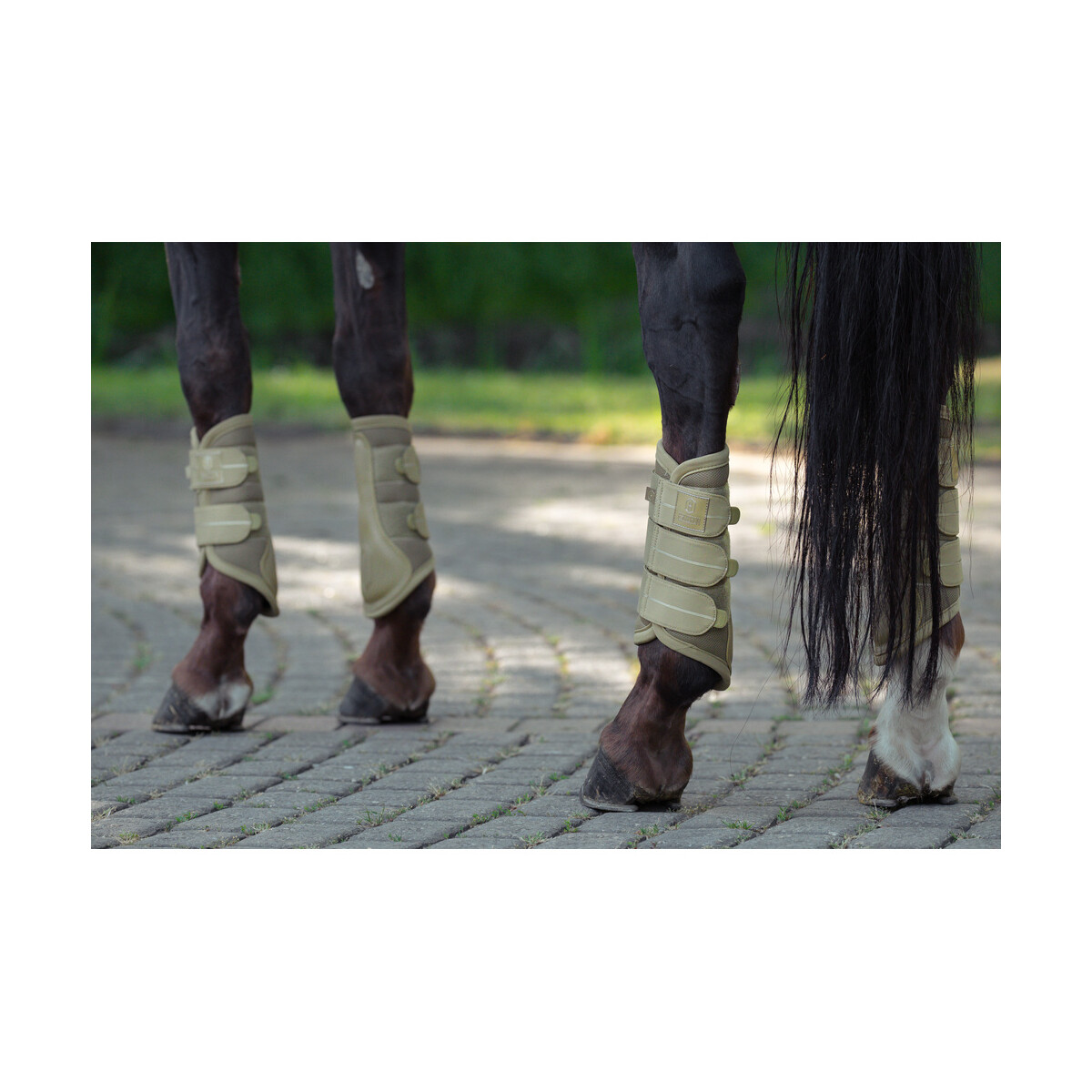 Eskadron Gamaschen MESH