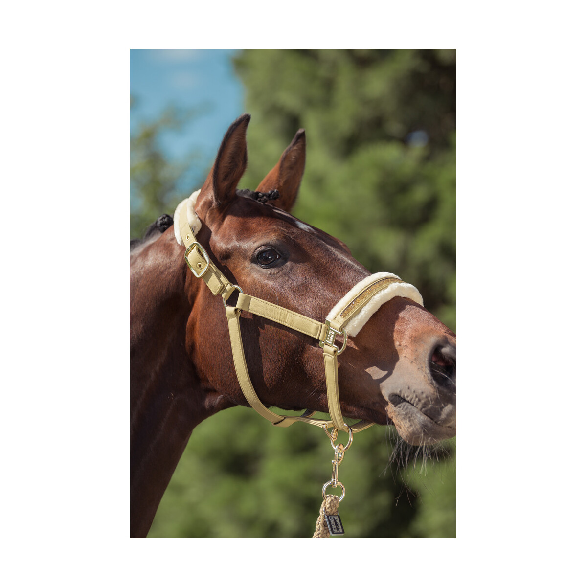 Eskadron Halfter FAUX LEATHER JEWEL FF