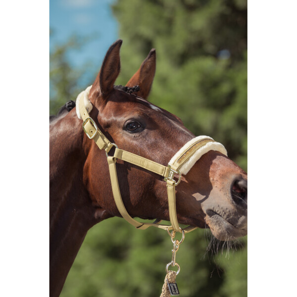 Eskadron Heritage Halfter FAUX LEATHER JEWEL FF