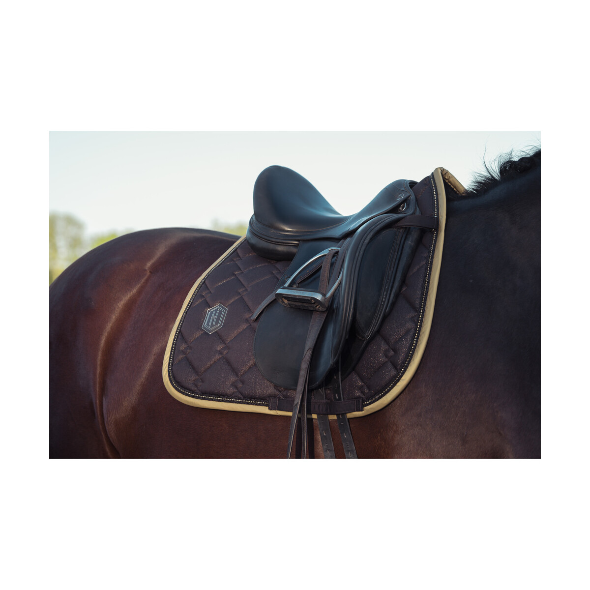 Eskadron Heritage Schabracke GLOSSY